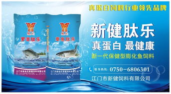 接近3萬(wàn)畝面積受天氣影響,高郵地區(qū)羅氏沼蝦損失慘重 升溫后的池塘管理,如何做到損失最小化