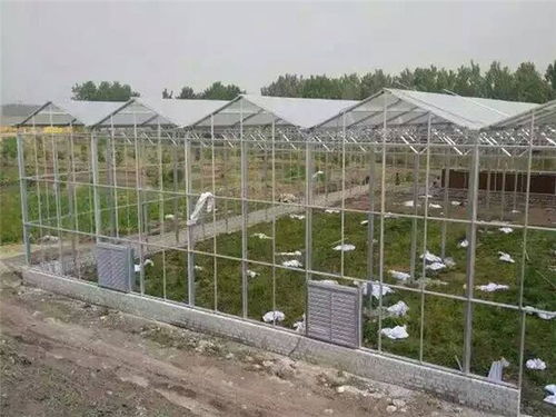 玻璃溫室造價(jià)、材料及配套設(shè)施設(shè)計(jì)解析
