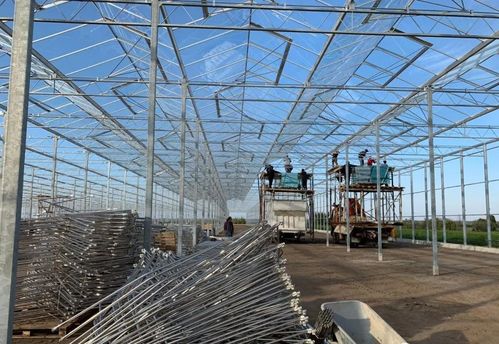 投資現(xiàn)代化智能玻璃溫室大棚的造價與設(shè)計要點(diǎn)