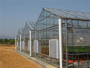 農(nóng)業(yè)溫室 現(xiàn)代農(nóng)業(yè)的高效種植解決方案