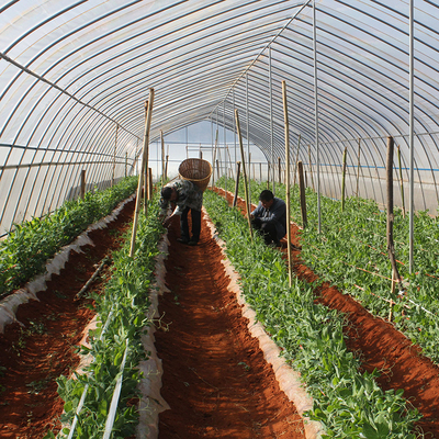 玻璃溫室、薄膜溫室與無土栽培 農(nóng)業(yè)溫室大棚材料及配套設(shè)施的設(shè)計要點(diǎn)