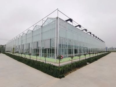 豐縣智慧農(nóng)業(yè)新篇章 空中瓜果背后的高科技大棚設(shè)計