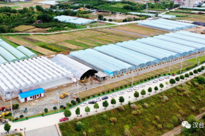 漢臺農(nóng)業(yè)溫室項目 科技賦能現(xiàn)代農(nóng)業(yè) 繪就鄉(xiāng)村振興新畫卷